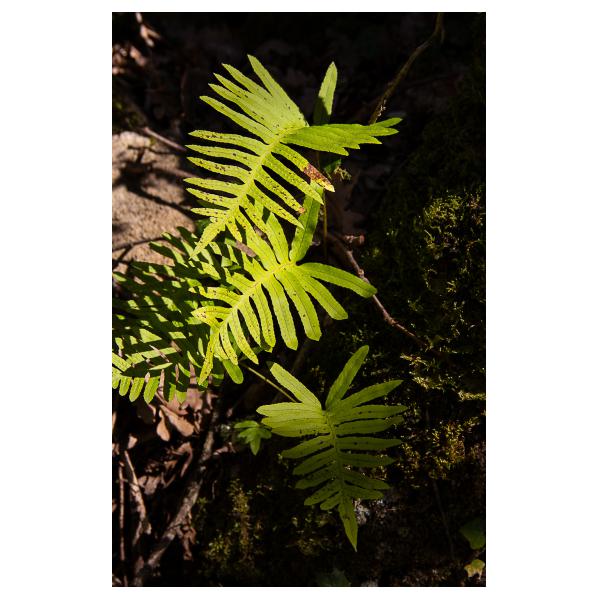 PHOTO84, CLUB, 84 , LUBERON